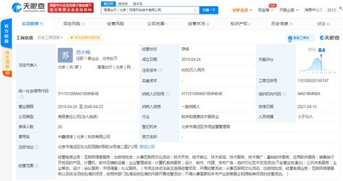 計算機(jī)軟件的技術(shù)開發(fā)與銷售 創(chuàng)新驅(qū)動與市場拓展的雙輪驅(qū)動